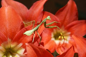 Rancho Ecológico Sol de Mayo Rotamundos