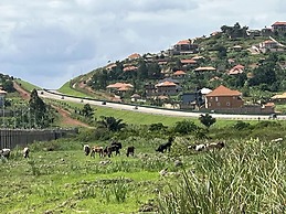 Captivating 3-bed Villa