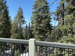 Yosemite's Pine Cove