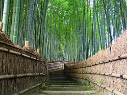 Travelodge Kyoto Shijo Omiya