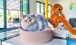 Royal Yao Yai Island Beach Resort -sha Extra Plus+