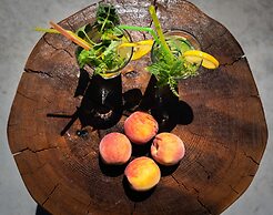 Petra Residence Mini Pool Spa