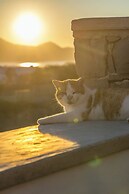 Petra Residence Mini Pool Spa