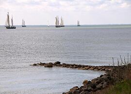 Comfy Lodge with Microwave near Markermeer
