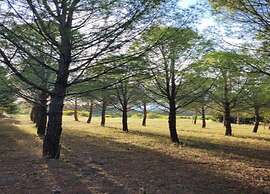 Villa With Pool & Views