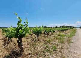 Villa With Pool & Views