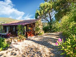 Cozy Cottage in Penafiel With Swimming Pool