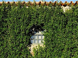 Cozy Mansion in Ponte de Lima With Pool