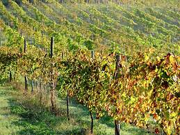 Cozy Mansion in Ponte de Lima With Pool