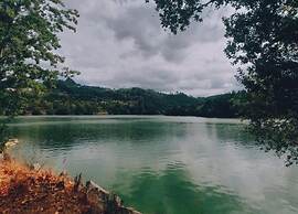 Forest Hideaway Near Douro Valley