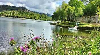 Forest Hideaway Near Douro Valley