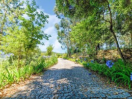 Forest Hideaway Near Douro Valley