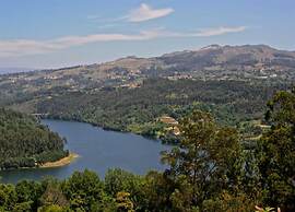 Forest Hideaway Near Douro Valley