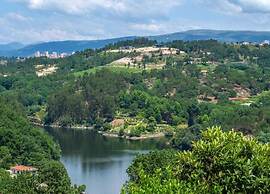 Forest Hideaway Near Douro Valley