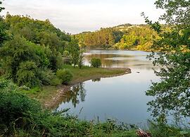 Forest Hideaway Near Douro Valley