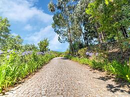 Forest Hideaway Near Douro Valley