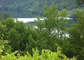 Forest Hideaway Near Douro Valley