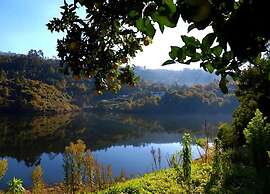 Forest Hideaway Near Douro Valley