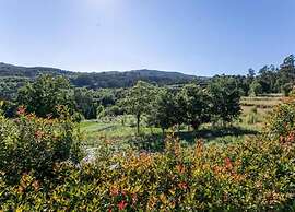Forest Hideaway Near Douro Valley