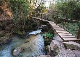 Forest Hideaway Near Douro Valley