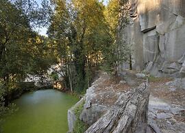 Forest Hideaway Near Douro Valley