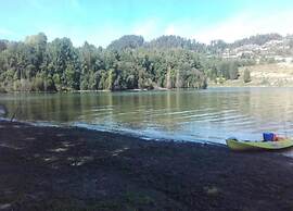 Forest Hideaway Near Douro Valley