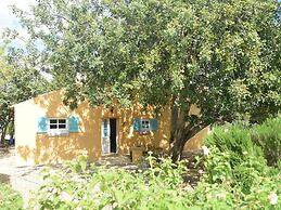 Attractive Portuguese Farm With Modern Decoration