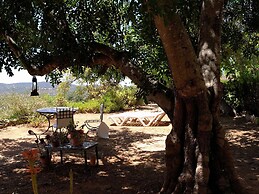 Attractive Portuguese Farm With Modern Decoration