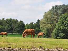 Authentic Holiday Home in Baarlo With Private Terrace