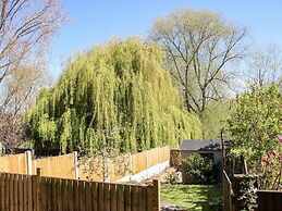 Willow View
