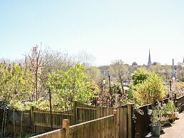 Willow View