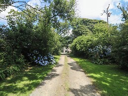 Edwin's View