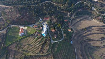 Lovely Design 4-bed Villa in Canedo de Basto