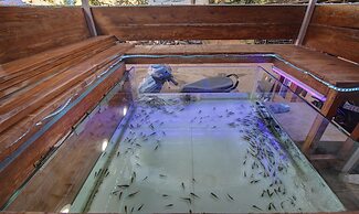 Treebo Trip Lazy Holidays