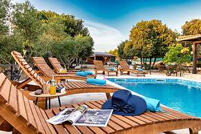 Vintage Winehouse Backov