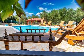 Vintage Winehouse Backov