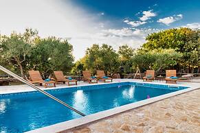 Vintage Winehouse Backov