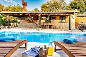 Vintage Winehouse Backov