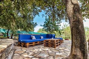 Vintage Winehouse Backov