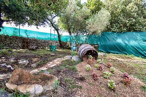 Vintage Winehouse Backov