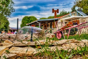 Vintage Winehouse Backov