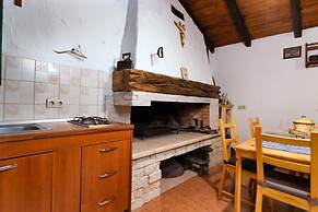 Vintage Winehouse Backov