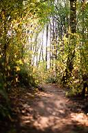 The Lodge at St Edward Park