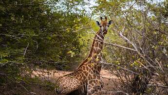 Intercontinental Luanda Miramar by IHG