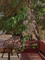 Flower and Crafts - Eco Farm Houses