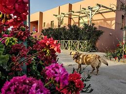 Flower and Crafts - Eco Farm Houses