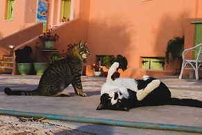 Flower and Crafts - Eco Farm Houses