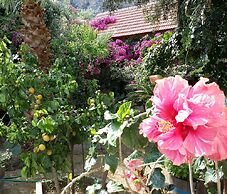 Beautiful Cottage in S West Crete Near the sea