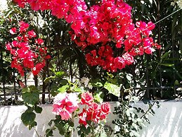 Beautiful Cottage in S West Crete Near the sea