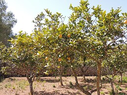 Charming Villa With Pool in Algaida